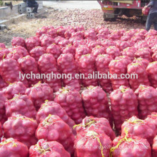 Wholesale new fresh onion for export 5-7cm, 6-8cm, 8cm up